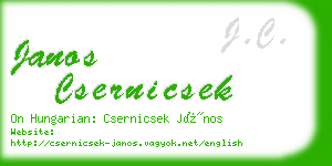 janos csernicsek business card